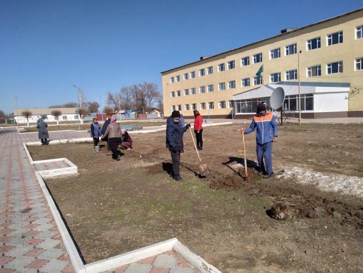 Мектеп алаңын Көгерту көгеріштендіру айлығы